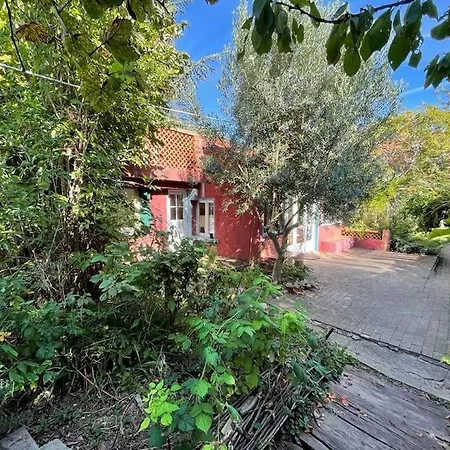 Charmante Maison Dans Jardin, Calme, 55m2- 2ch, Metro, Tres Proche Paris * Витри-сюр-Сен